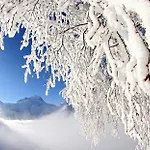 Les Flocons Les Deux Alpes
