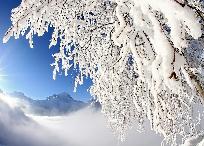 Les Flocons Ле дез Альп