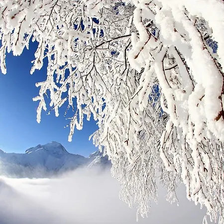 Les Flocons Ле дез Альп