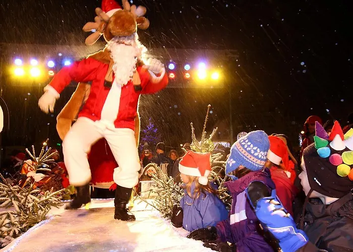 Les Flocons Les Deux Alpes
